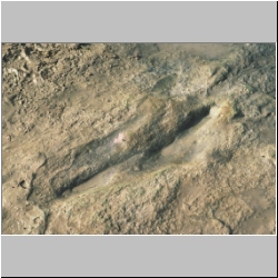 06-px84-s7-15 dodm2.jpg